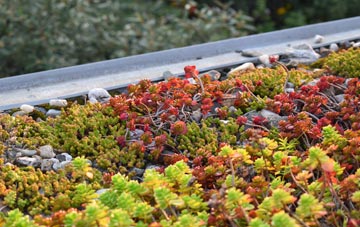 the cost of Milkwell green roof installation