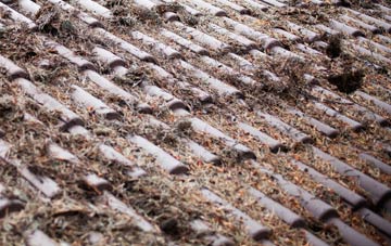 Milkwell roof cleaning companies