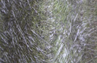 Milkwell fibreglass roof work