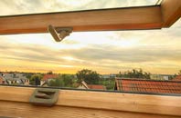 rated Milkwell roof window companies